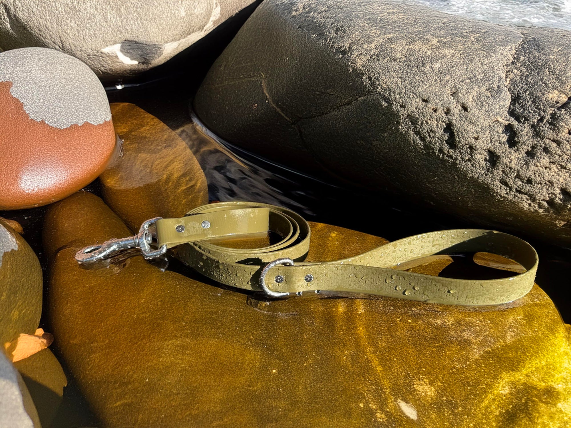 Odyssey Leash Co. Leash 6ft, 1in Wide BioThane®, Waterproof, 1,000lb Strength, Stainless Steel Hardware, Hand Assembled in The US (8 Colors)