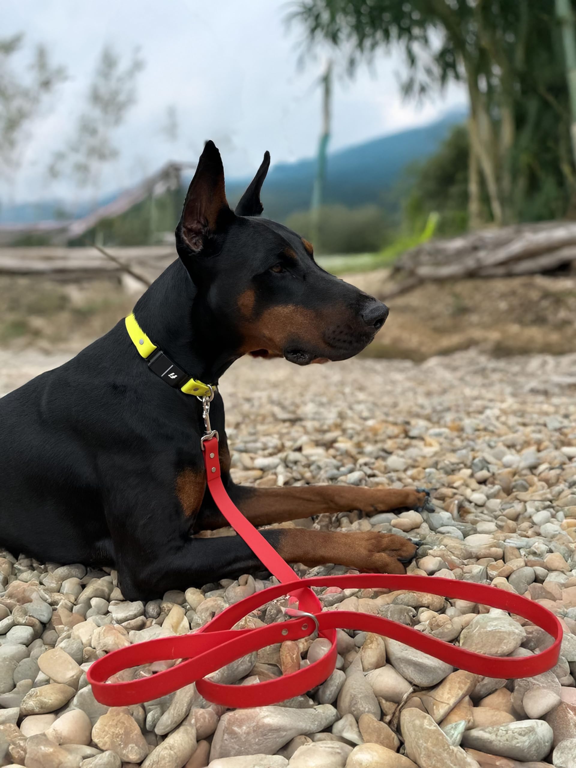 Odyssey Leash Co. Leash 6ft, 1in Wide BioThane®, Waterproof, 1,000lb Strength, Stainless Steel Hardware, Hand Assembled in The US (8 Colors)