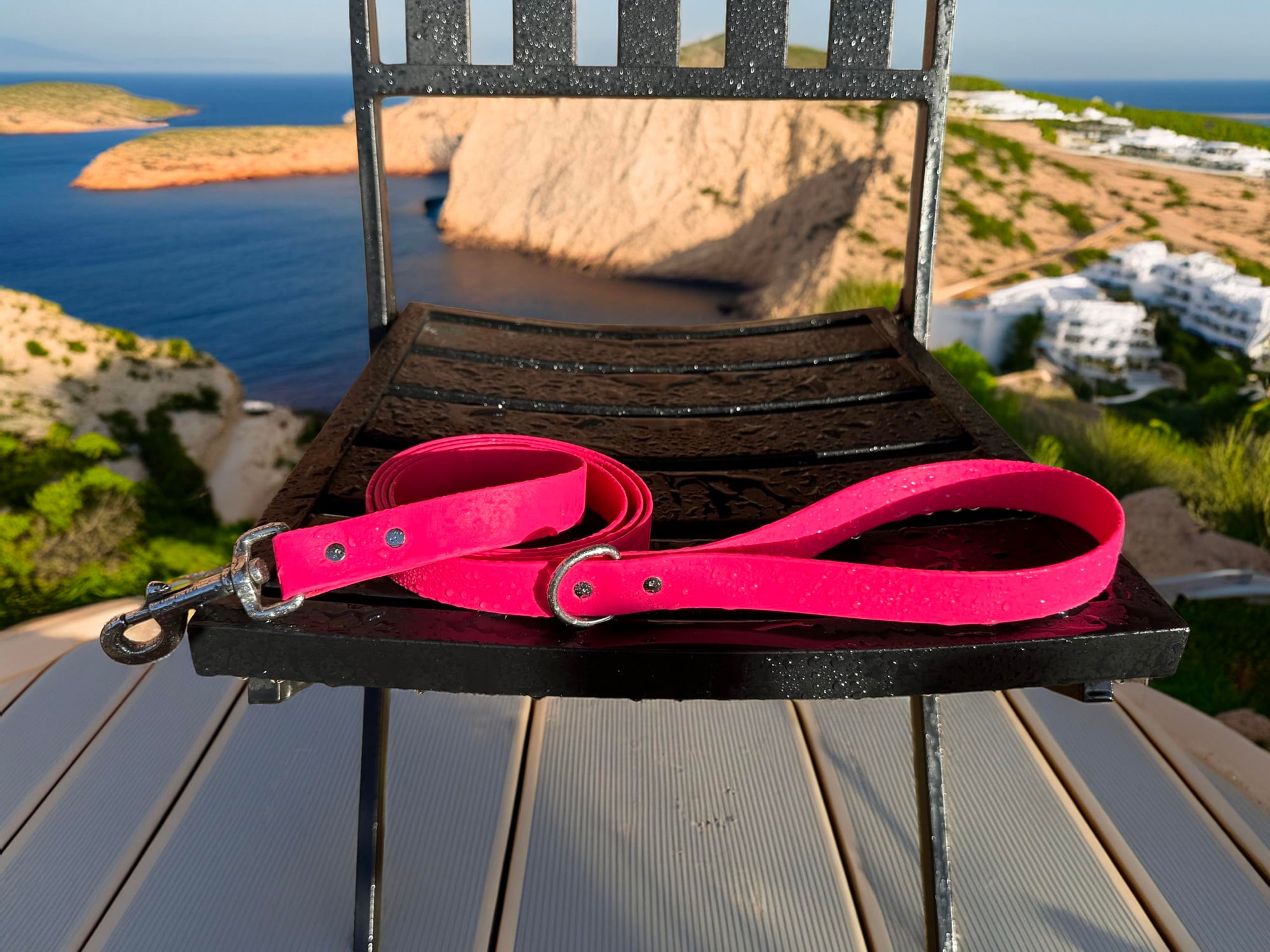 Odyssey Leash Co. Leash 6ft, 1in Wide BioThane®, Waterproof, 1,000lb Strength, Stainless Steel Hardware, Hand Assembled in The US (8 Colors)