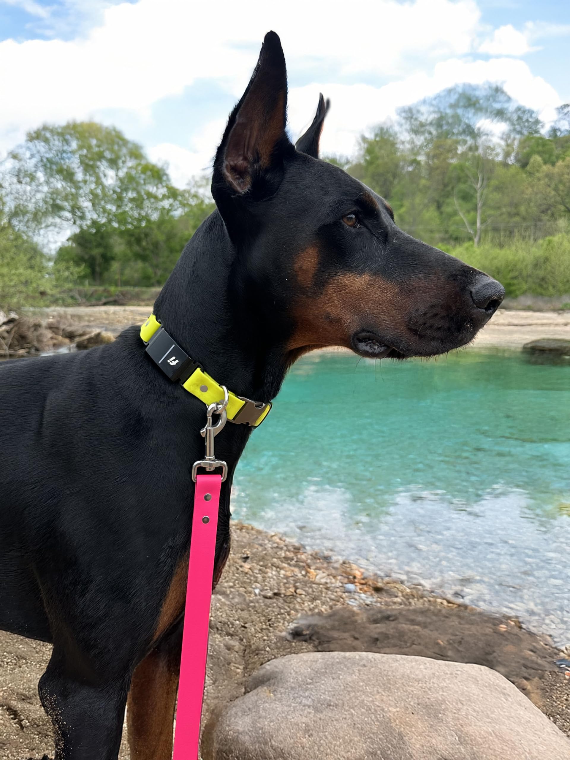 Odyssey Leash Co. Leash 6ft, 1in Wide BioThane®, Waterproof, 1,000lb Strength, Stainless Steel Hardware, Hand Assembled in The US (8 Colors)
