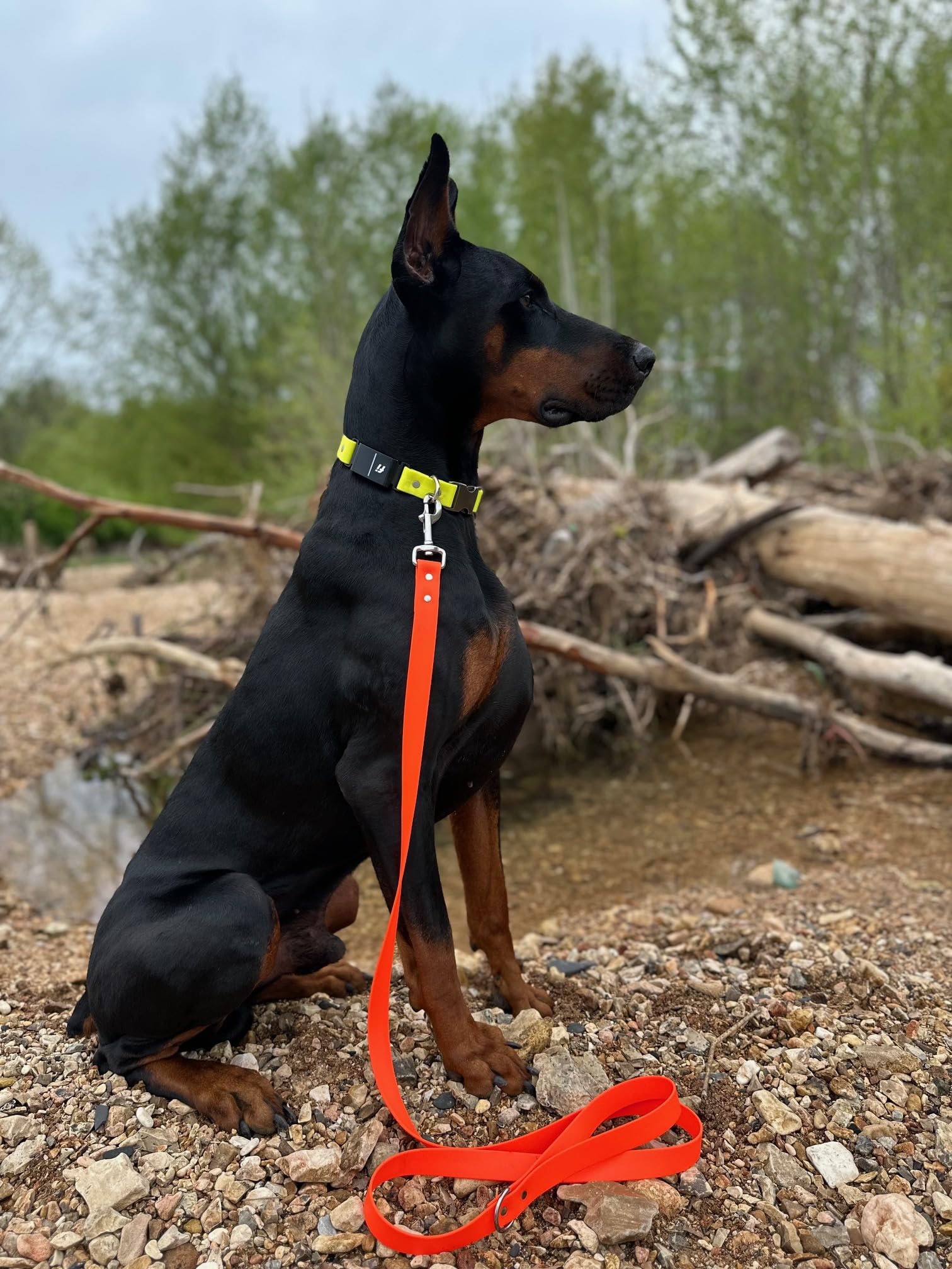 Odyssey Leash Co. Leash 6ft, 1in Wide BioThane®, Waterproof, 1,000lb Strength, Stainless Steel Hardware, Hand Assembled in The US (8 Colors)