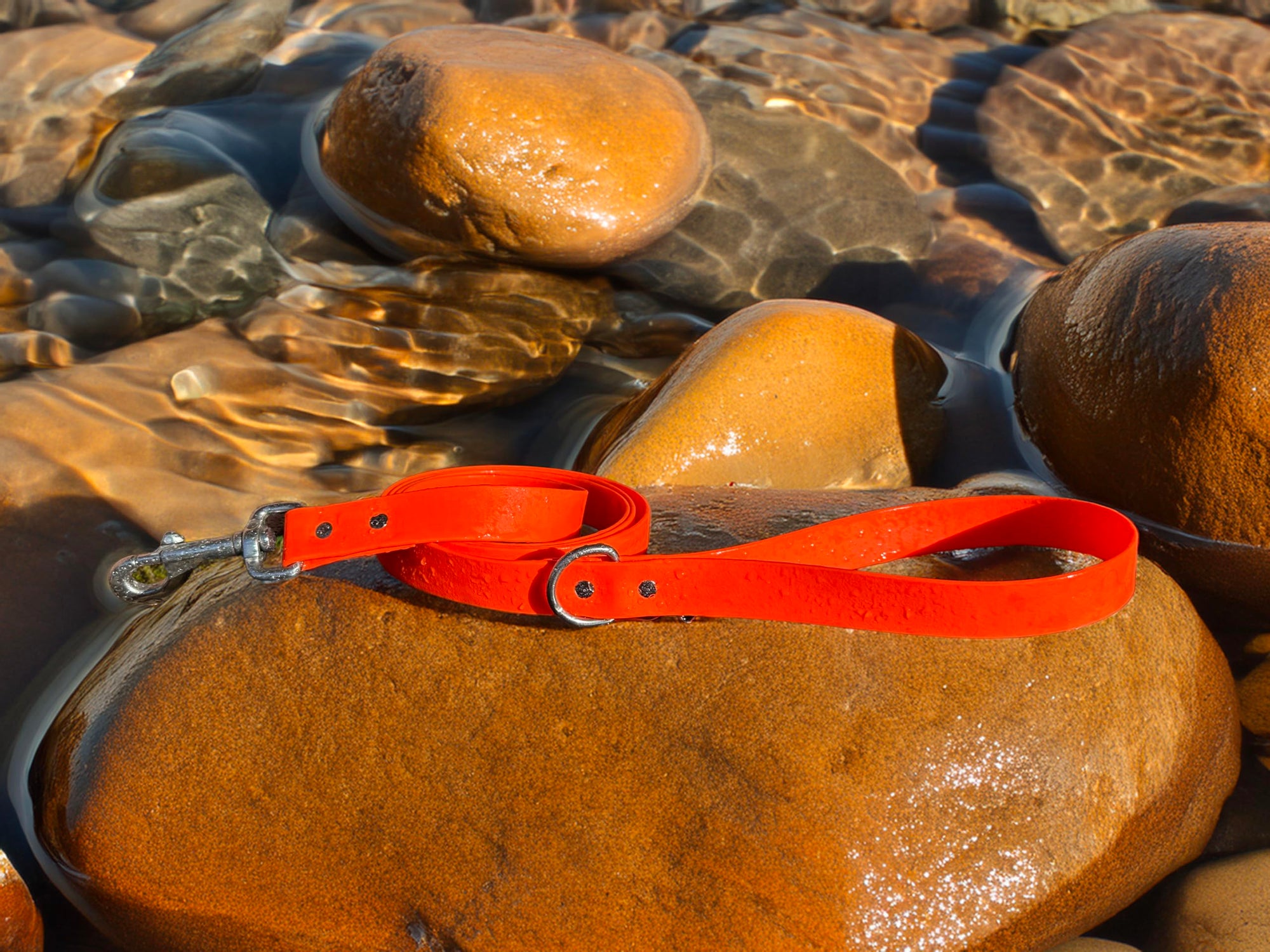Odyssey Leash Co. Leash 6ft, 1in Wide BioThane®, Waterproof, 1,000lb Strength, Stainless Steel Hardware, Hand Assembled in The US (8 Colors)