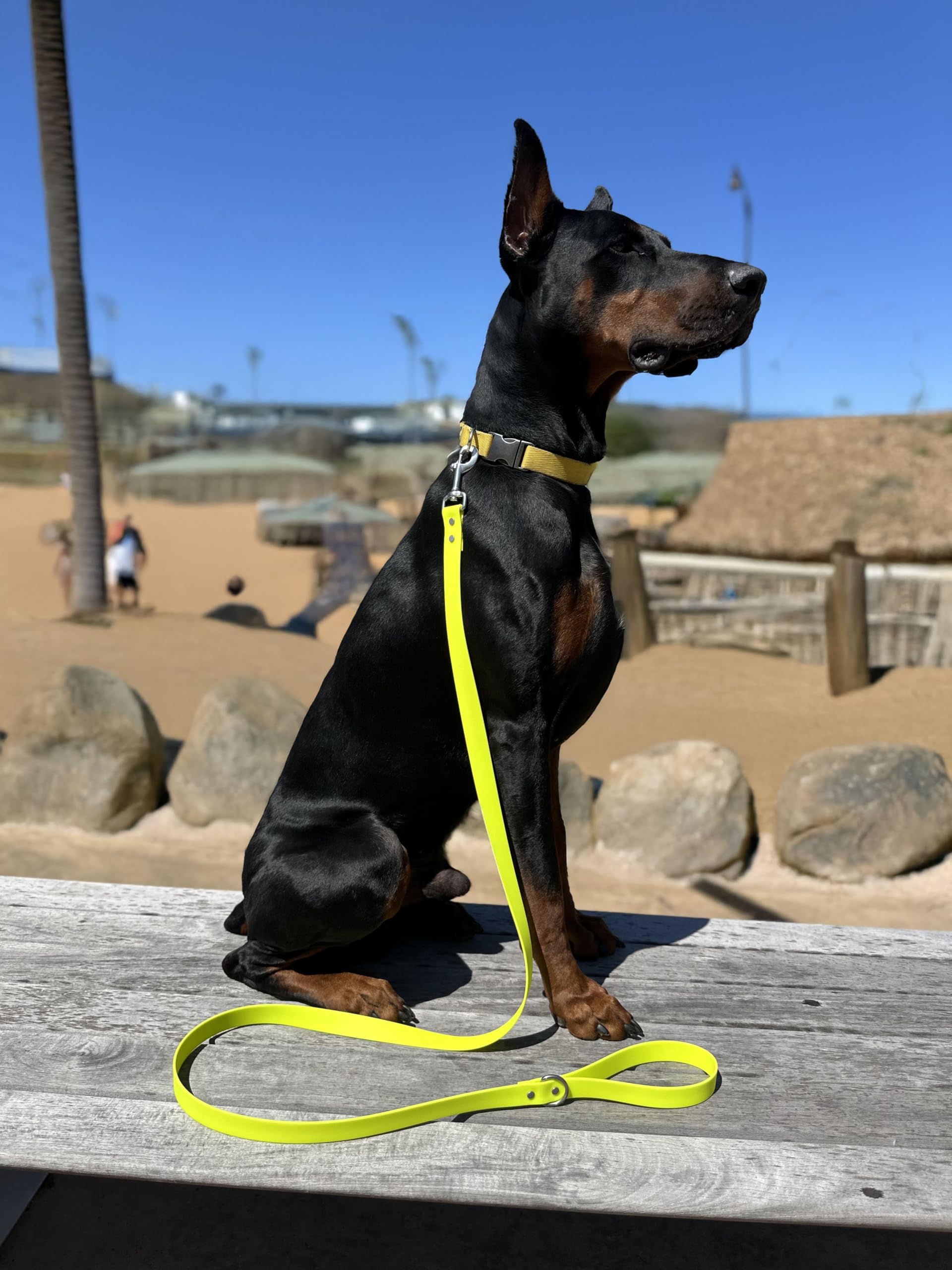 Odyssey Leash Co. Leash 6ft, 1in Wide BioThane®, Waterproof, 1,000lb Strength, Stainless Steel Hardware, Hand Assembled in The US (8 Colors)