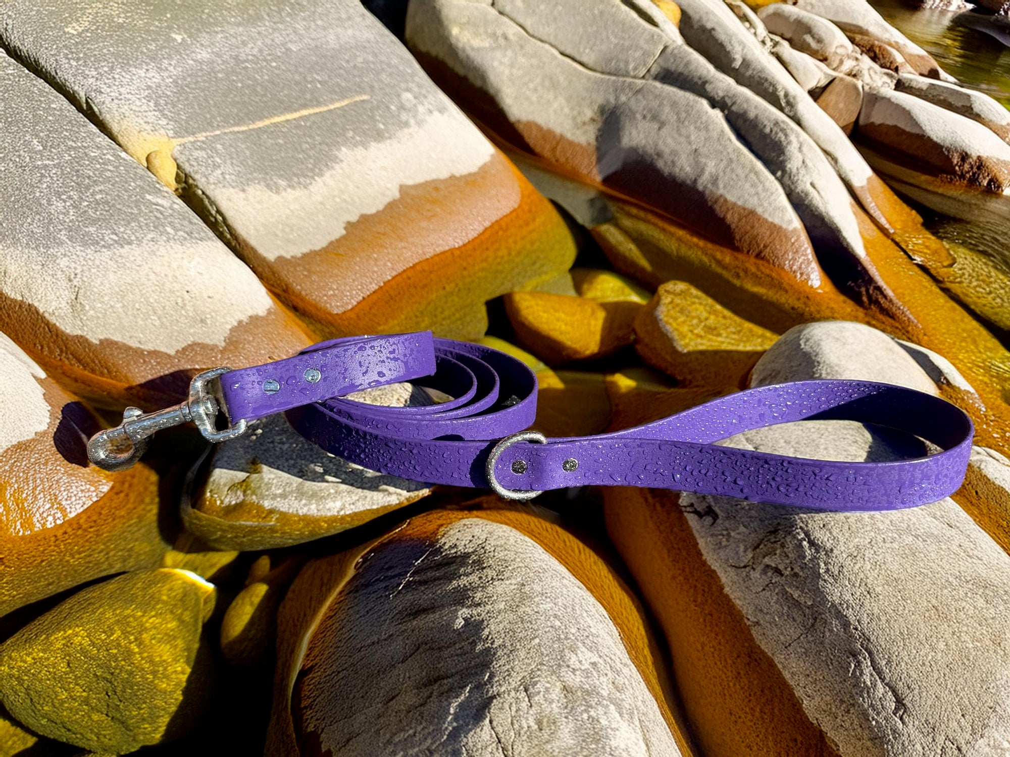 Odyssey Leash Co. Leash 6ft, 1in Wide BioThane®, Waterproof, 1,000lb Strength, Stainless Steel Hardware, Hand Assembled in The US (8 Colors)