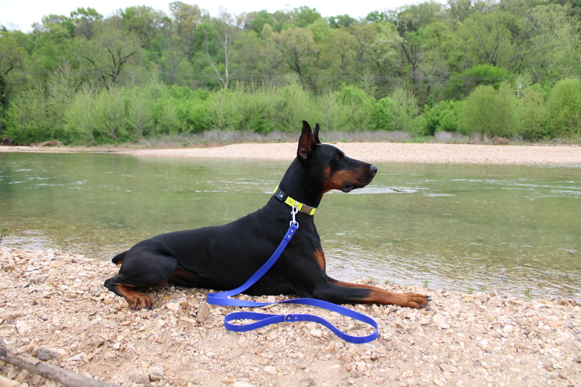 Odyssey Leash Co. Leash 6ft, 1in Wide BioThane®, Waterproof, 1,000lb Strength, Stainless Steel Hardware, Hand Assembled in The US (8 Colors)