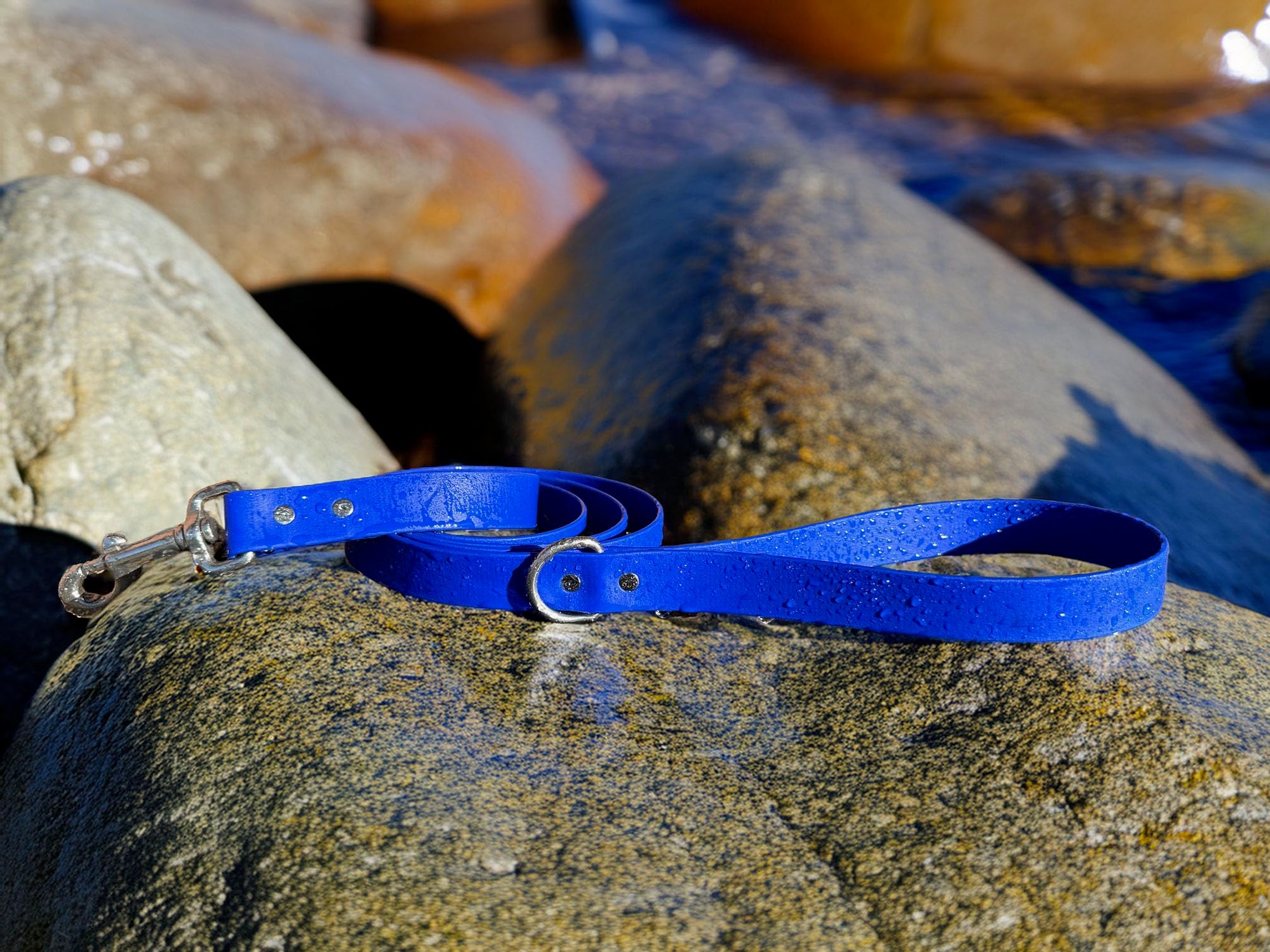 Odyssey Leash Co. Leash 6ft, 1in Wide BioThane®, Waterproof, 1,000lb Strength, Stainless Steel Hardware, Hand Assembled in The US (8 Colors)