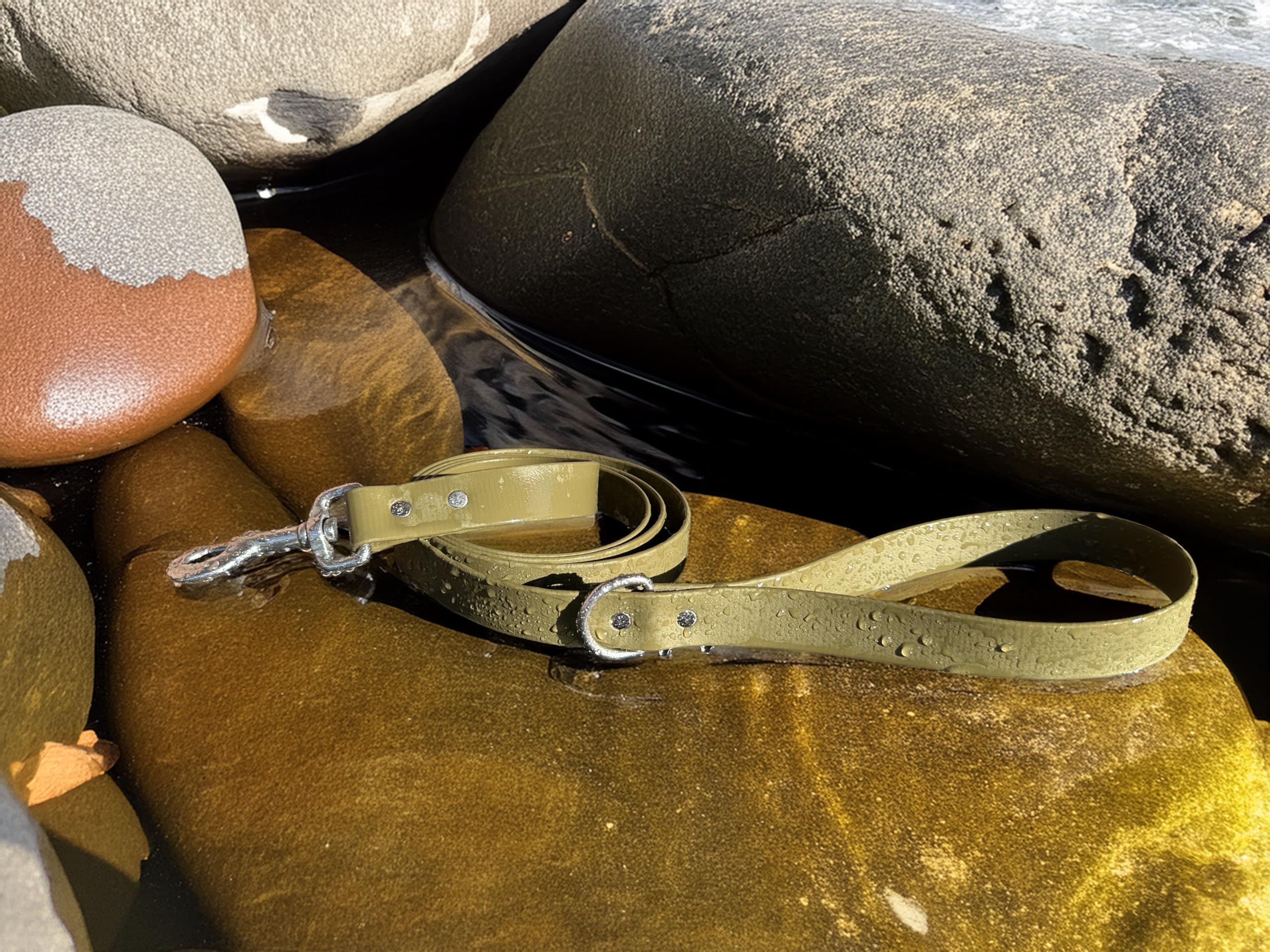 Odyssey Leash Co. Leash 6ft, 1in Wide BioThane®, Waterproof, 1,000lb Strength, Stainless Steel Hardware, Hand Assembled in The US (8 Colors)