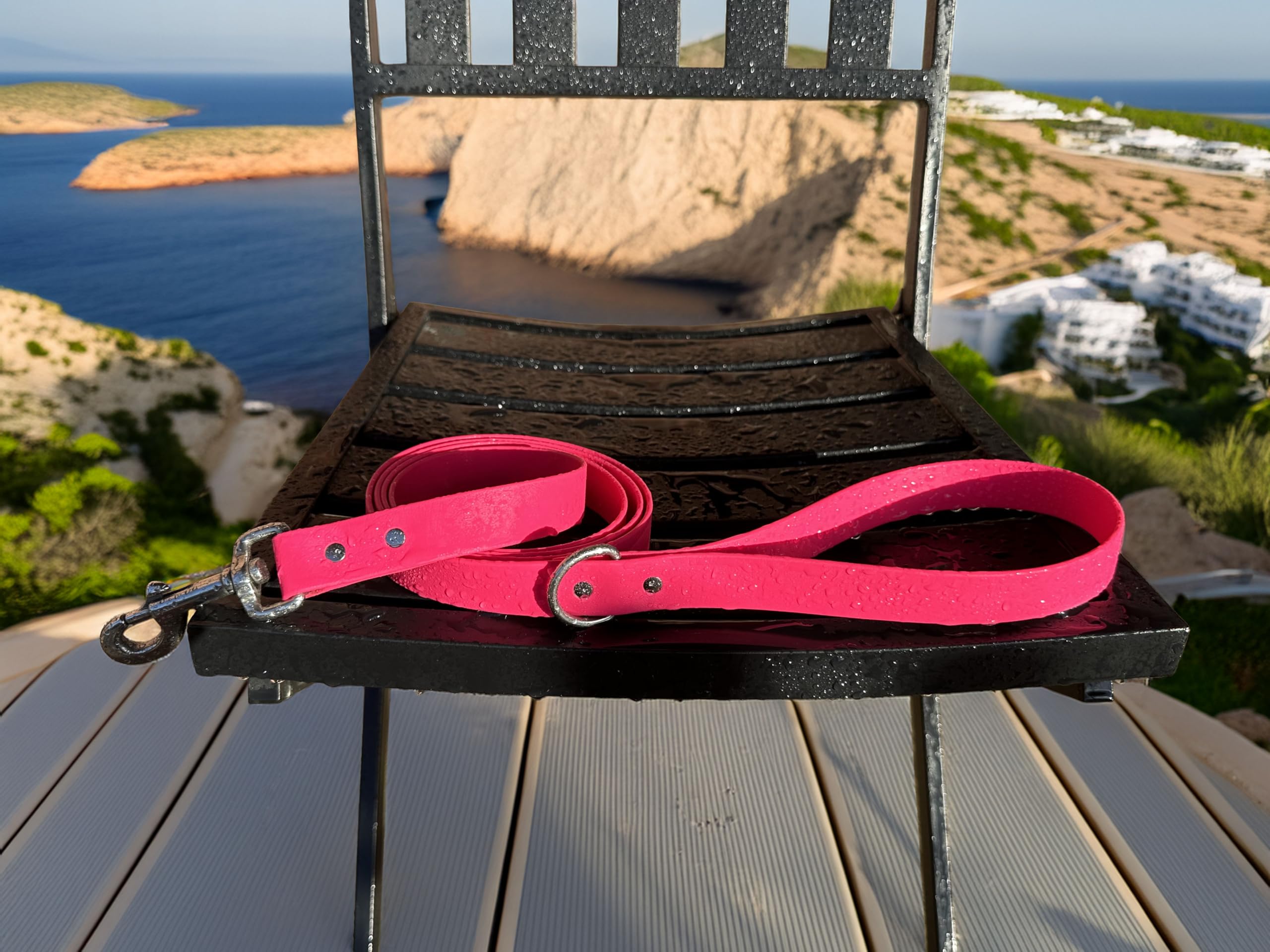 Odyssey Leash Co. Leash 6ft, 1in Wide BioThane®, Waterproof, 1,000lb Strength, Stainless Steel Hardware, Hand Assembled in The US (8 Colors)