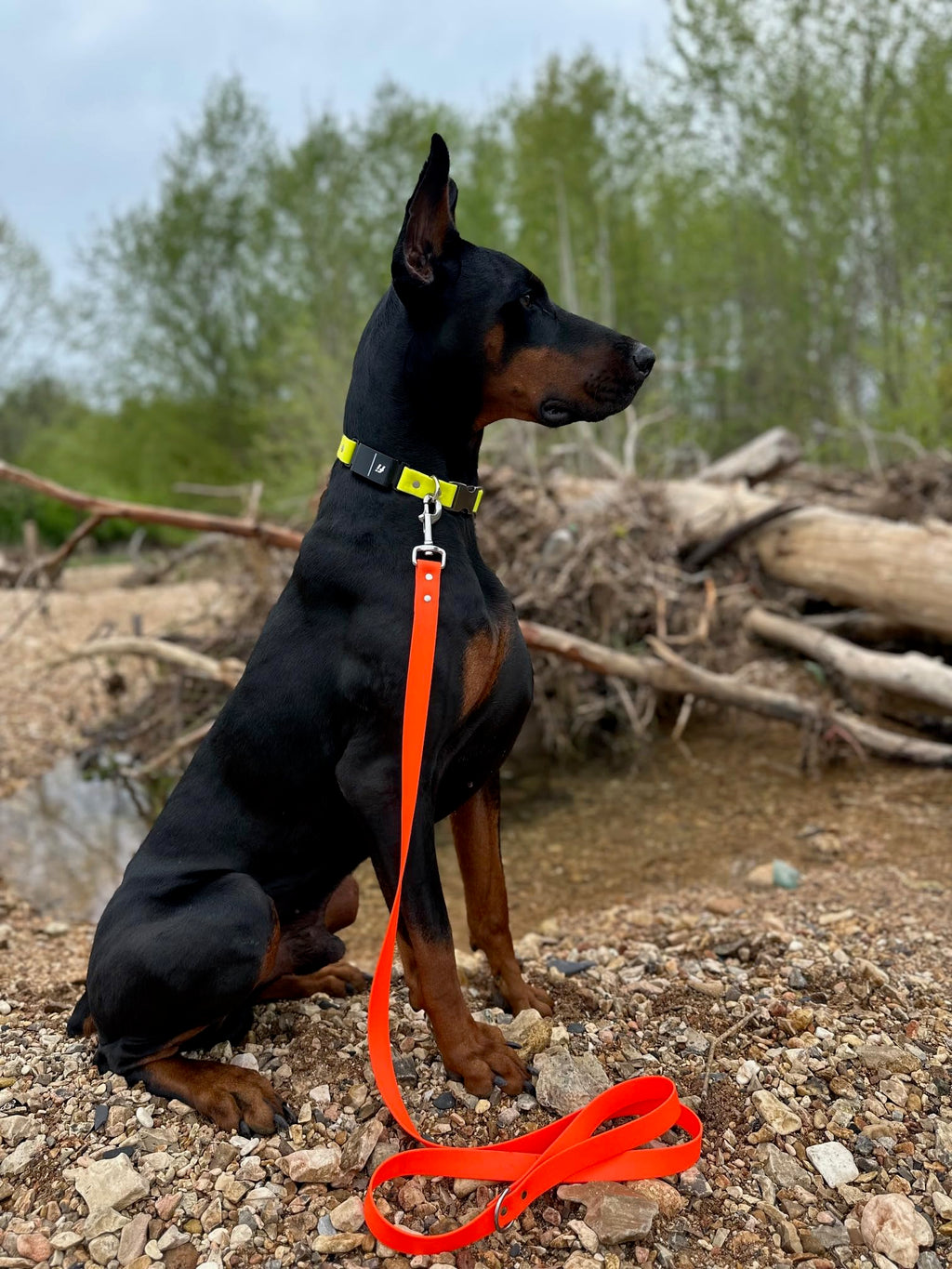 Odyssey Leash Co. Leash 6ft, 1in Wide BioThane®, Waterproof, 1,000lb Strength, Stainless Steel Hardware, Hand Assembled in The US (8 Colors)